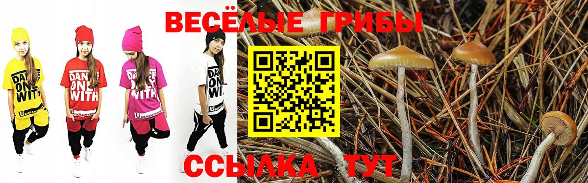 Псилоцибиновые грибы Magic Shrooms Мурманск