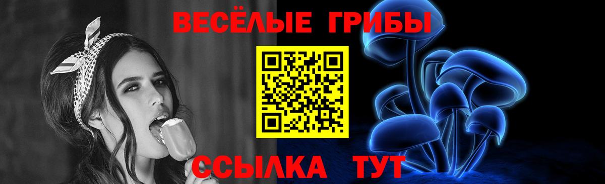 Мурманск  Псилоцибиновые грибы Psilocybe  Вход с VPN 
